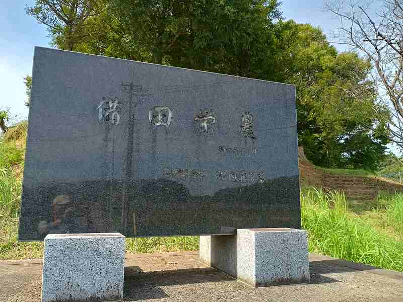 画像を挿入してください